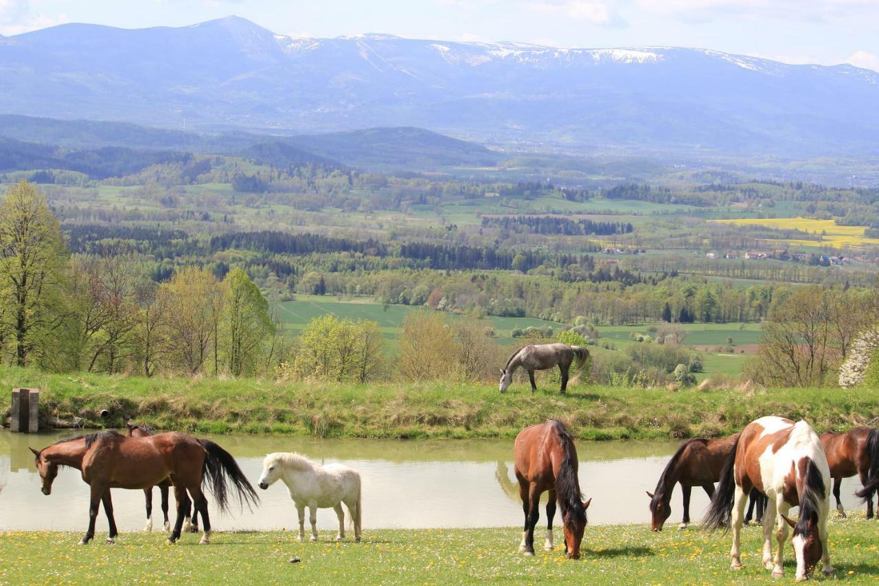 Farm stay Szalas Muflon - Mufflonhuette