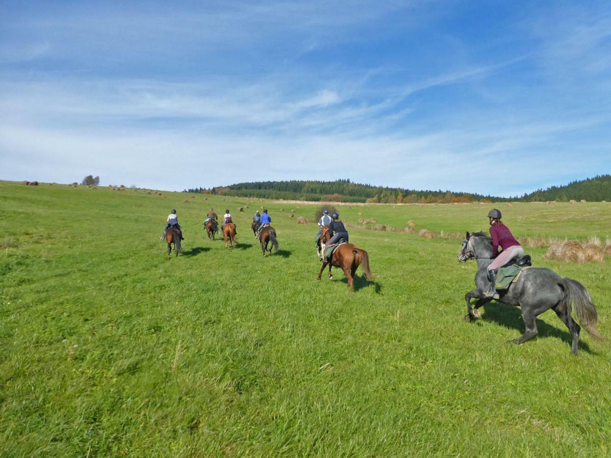 Szalas Muflon - Mufflonhuette * Jelenia Gora